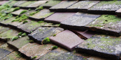 Soulbury roof repair costs